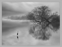 574 - ALONE 2 - SAWANT NAYAN - india <div